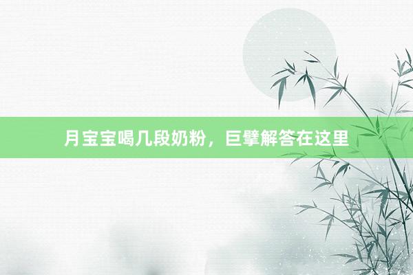 月宝宝喝几段奶粉，巨擘解答在这里